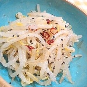 冷蔵庫にいつも豆もやし　基本のナムル